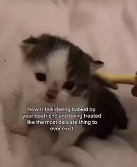 i love my boyfriend 🤭 #imhis  #fyp #relationships #kittensoftiktok 