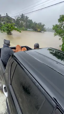 Nothing about tours but rescuing our dogs!#srilanka #flood #weather #tours #ditwah