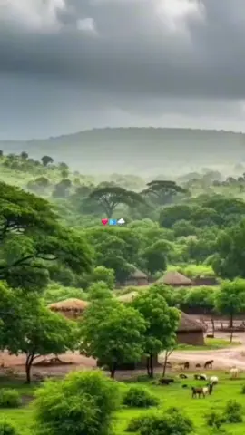 #jawi_bila🌊❤️🌴 #dhaqandhowr1🐪 #bywillmiyi🐪🐎🐎🐑👩‍🦯✅ #hidahadhaqanka🤩🇸🇴 #wabxo💙💚🤍 