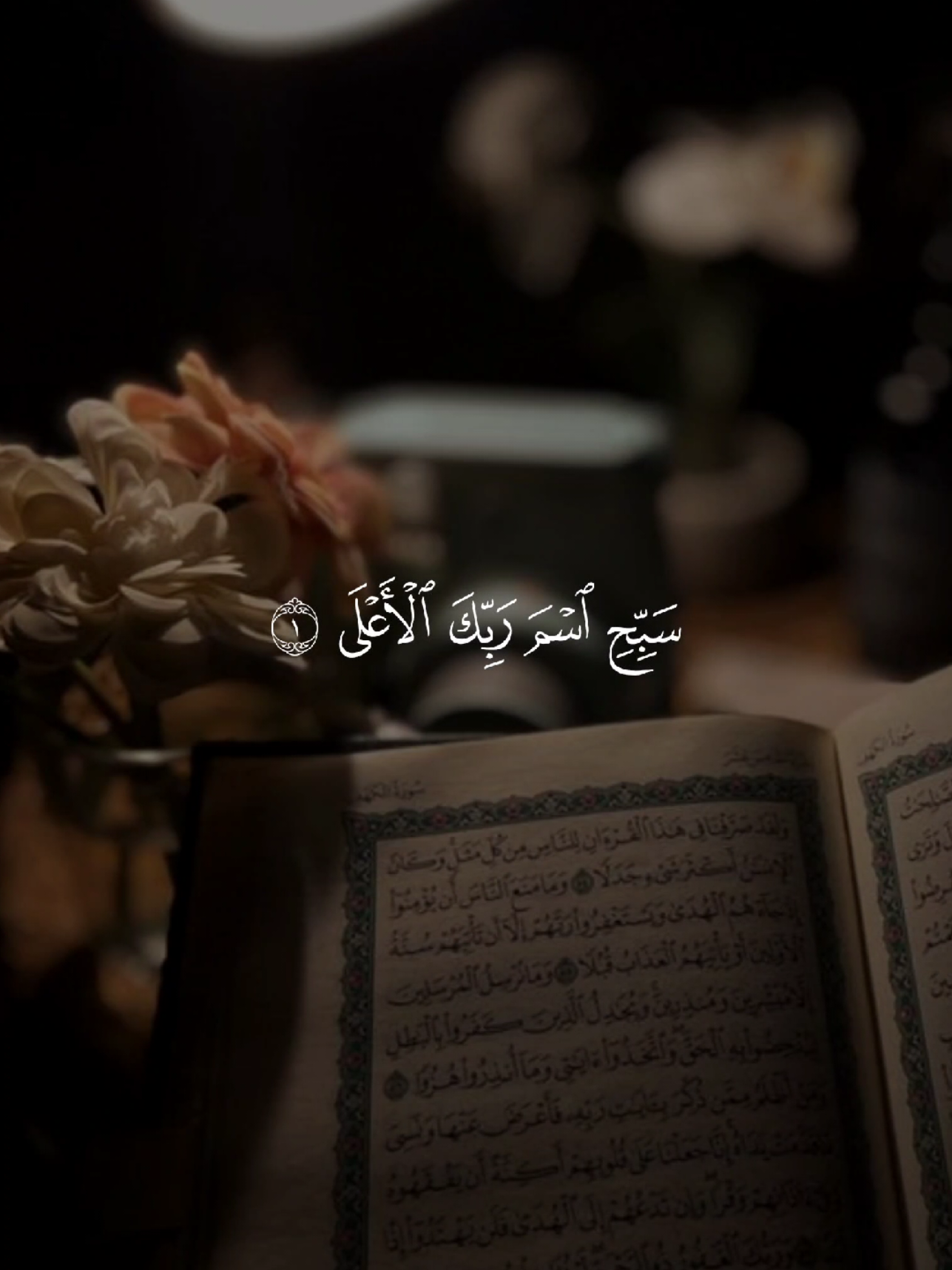 سورة الأعلى 🤍🎧 #قران #quran #قران_كريم #quran_alkarim #القران_الكريم 