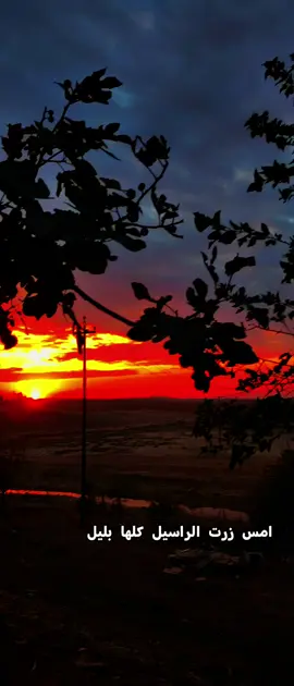 امس زرت الراسيل كلها بليل#تصويري📷 #تصميم_فيديوهات🎶🎤🎬 #تصويري_احترافي_الاجواء👌🏻🕊😴 