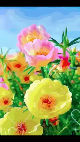 #assalamualaikum #pencintasholawatsalamsejahtera #selamatberaktivitassemogatambahsukseslagikedepannya disehatkan badannya dilancarkan urusan dn rezekinya #fypageシ #fypppppppppppppppppppppp