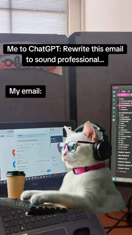 ChatGPT, please help me respectfully say 