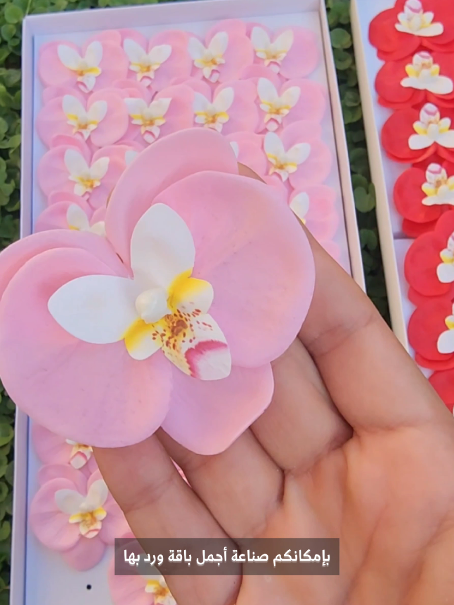 گوڵی ئۆرکید 😀