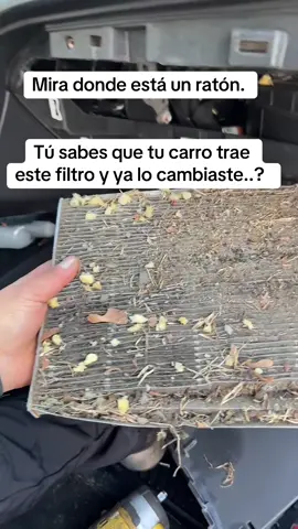 Cambia este filtro de cabina para q no te pase como a este cliente#saul_niev #fliypシ #fallowers #auto #mecanica 