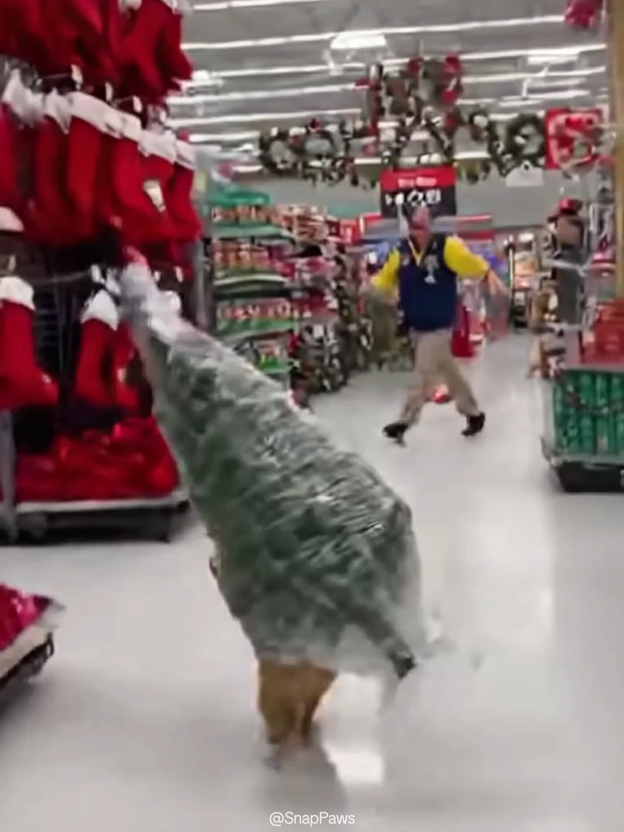 He’s Preparing for Christmas in His Own Way