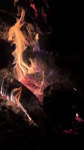 Tea tastes good when you are surrounded by few Baloch beloved sangats and fire burning in this cold weather. ❤️#foryou #fypシ゚ #viralvideo #balochistan #naturelover 