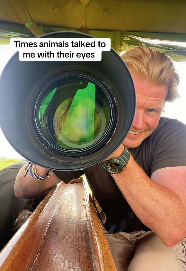 Nothing like when a wild animal stares through your lense and into your souls #wildlifefilmmaker #wildlifelover #safariguide 