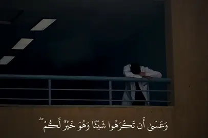 سورة البقرة🤍#صدقه_جاريه #اجر_لي_ولكم #quran 