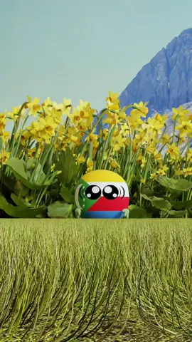 Es vienesss... #countryballs #polandball #fbyツ #humor #paratii 