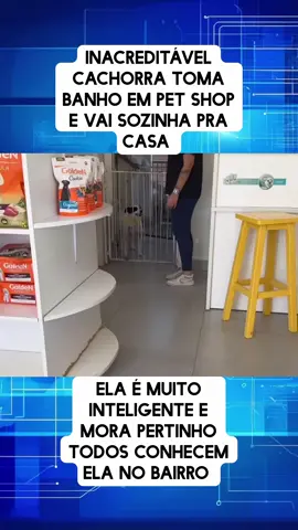 #noticias #ultimasnoticias #news #noticiastiktok #Noticia