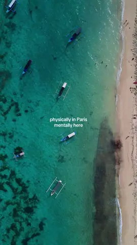 take me back to Indonesia please 🥹🐢 #indonesia🇮🇩 #bali 