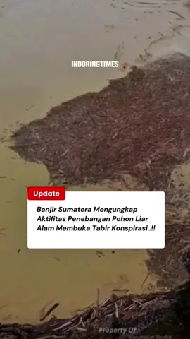 “Banjir Sumatera Bawa Batang Kayu Hutan! #Banjir #BanjirSumut #fyp  #KayuHutanHanyut #ArusDeras 