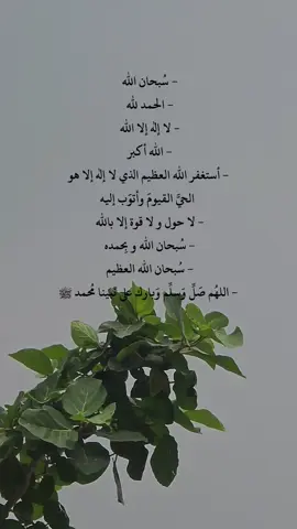 #وذكر_فإن_الذكرى_تنفع_المؤمنين🍂🥀 #اذكار_الصباح_والمساء #الباقيات_الصالحات #سبحان_الله_والحمدلله_ولا_إله_إلا_الله_والله_اكبر #سبحان_الله_وبحمده_سبحان_الله_العظيم 