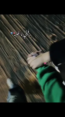 #explore #fyp #محمد_البصيلي #music #العريش 