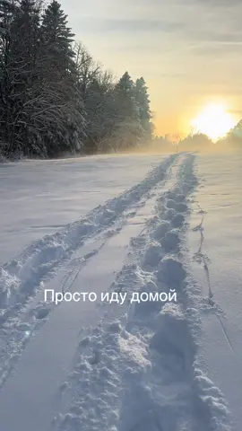 Иду домой через снежный лес 