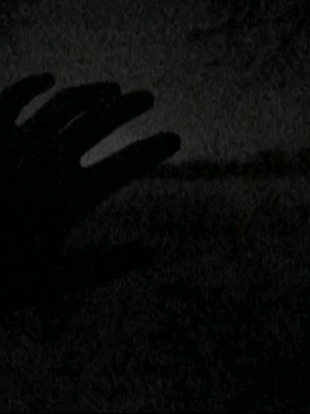 آدم مــاحمل مــثـلي غصص وآلام #باسم_الكربلائي #الحسين_عليه_السلام #السيدة_زينب_عليها_السلام #سبايا_كربلاء #واقعة_الطف 