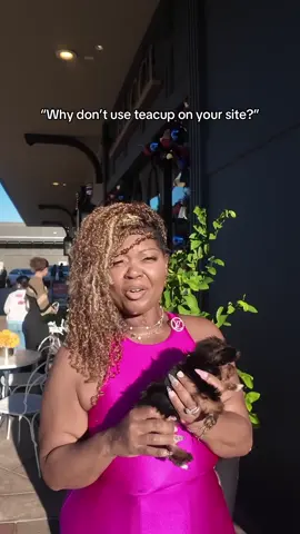 Teacup isn’t a size… it’s a marketing term. We do things the RIGHT way ✨🐾 #yorkiesofhouston #trending #yorkie #fyp #teacup 