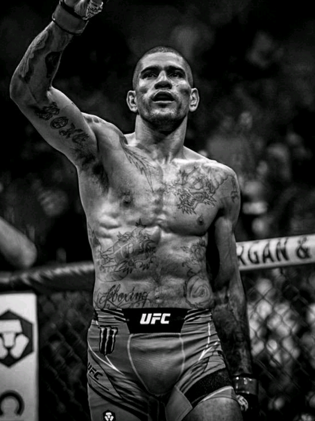 sozinho #poatan #UFC  #edit #fyp  #foryoupage 