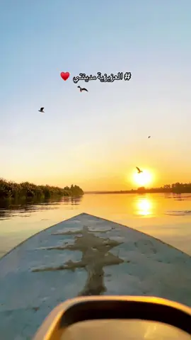 #البحر #تصويري_احترافي_الاجواء👌🏻🕊😴 #العزيزية_كوت_واسط_حفريه_صويره_نعمانيه 