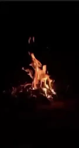 #ابوظبي #العين #دبي🇦🇪 