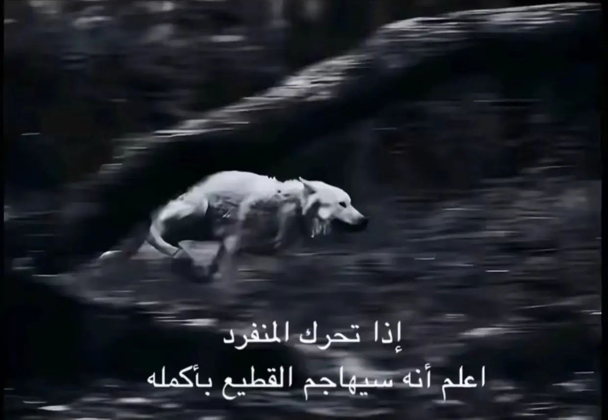 #كره_القدم_قصه_عشق_لاينتهي🤩 