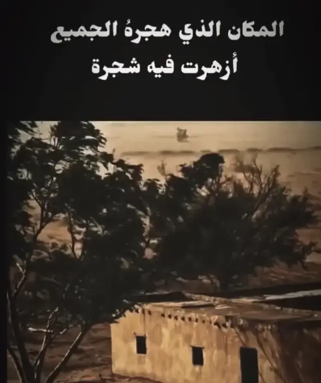 #🖤 #ليك_متابعه_فولو #🇷🇺 