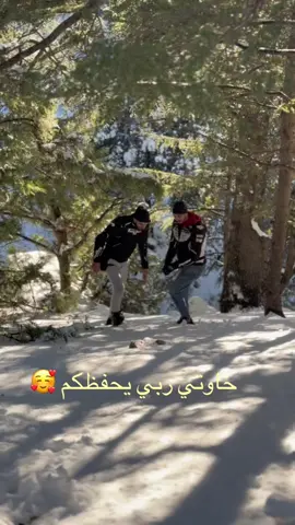 #بومرداسي35★😍توجور #بومرداسي35★ #alger #fypシ゚ #z1000kawasaki 