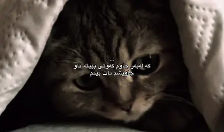 ناتبینم بەخوا#foryou #foryoupage #fyp #d3355.a