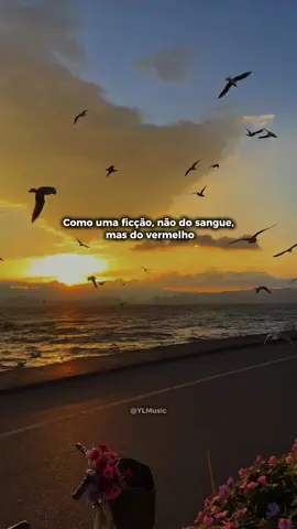 Alguém ouviu muito essa aqui ?  🎵 Amedeo Minghi - Cantare È D'amore #nostalgia #sound #amedeominghi #tradução #musicasromanticas 