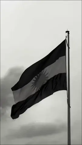 #CapCut #shladze👑🖤serye❤️👑deralok🌝dine🤗 #shladze👑🖤serye❤️👑deralok🌝dine🤗AMEDE❤️ #kordstan🇹🇯أ😘دئ🦁🦁 