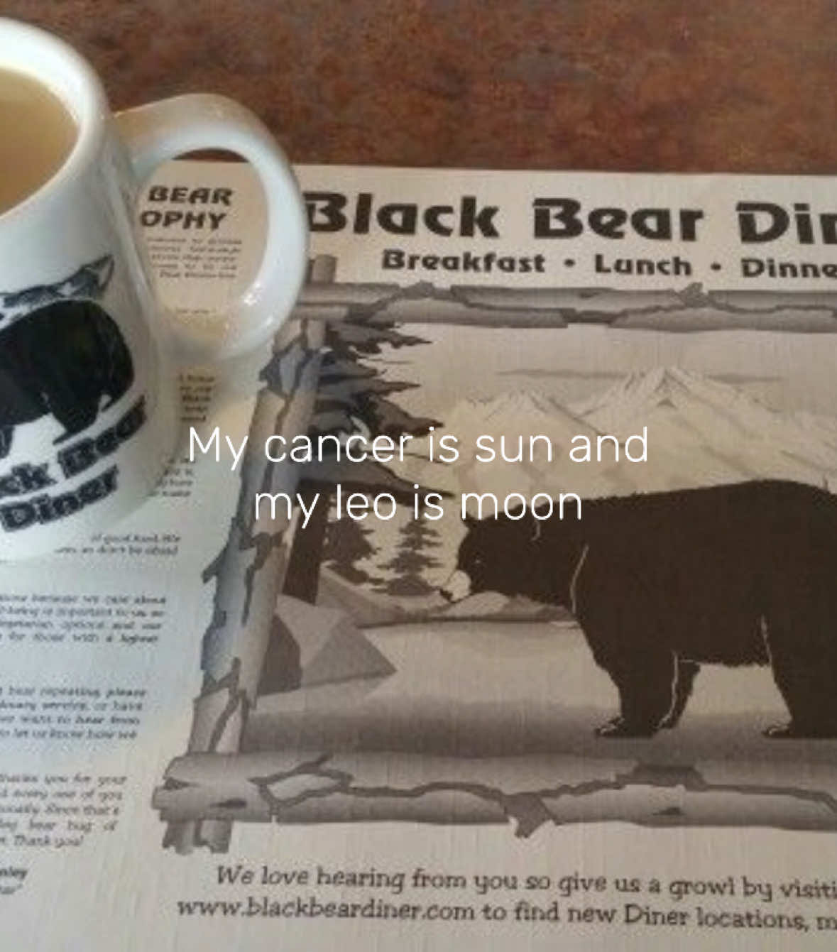 This part of the song>>> ⛄️🧦 #lanadelrey #lyrics #chemtrailsoverthecountryclub #aesthetic #music 