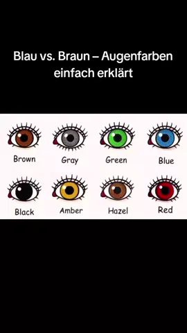 Blau vs. Braun – Augenfarben einfach erklärt braune und blaue Augen 👀 #psychologie #augenfarben #blaueaugen #brauenaugen #foryou 