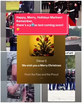 Happy Holidays Marines! #happyholidays #merrychristmas🎄 #marinesoftiktok #semperfi 