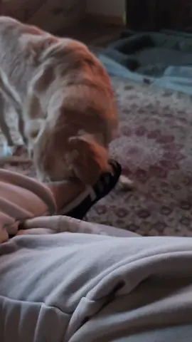 Why does she beat my feet?!