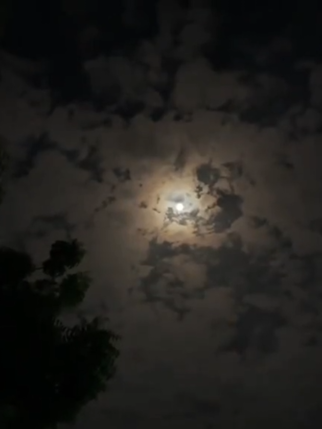 #ياسر_الدوسري #تلاوة_خاشعة 