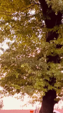 Standard procedure 🩶🩶