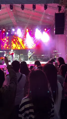 Подписку fallow 