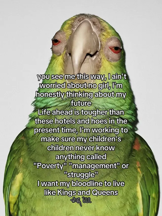 #fyp #viral #midenikan 