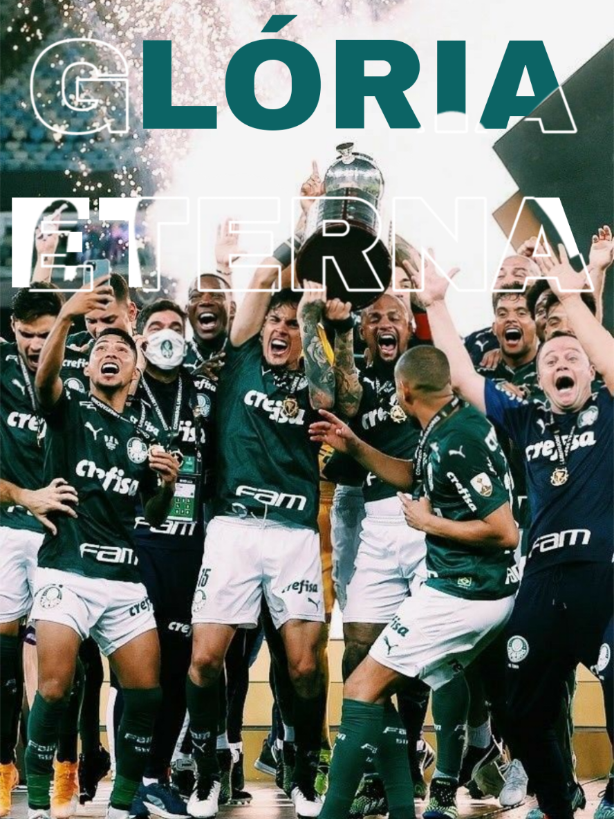 ESSE É O MOMENTO! 💚🐽 #palmeiras #libertadores #finallibertadores #abel #abelferreira #edit #palmeirasedit #palmeirasxflamengo 