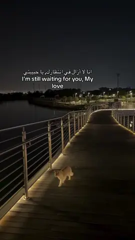 #الشعب_الصيني_ماله_حل😂😂 #islamicreminder #silent_tears 