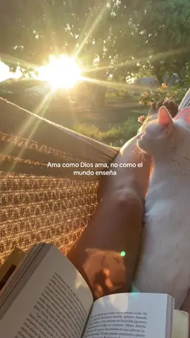 ❤️‍🩹 #Dios #foryou #fyp 