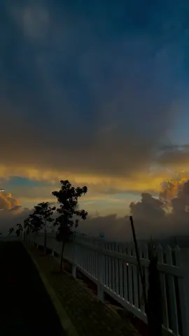 لم يدر الإنسان أين يواري جثمان الذاكرة فاخترع القصائد والقصص والروايات لتكون مقبرة للكلمات ثمّ وقع في كمينها…🍂