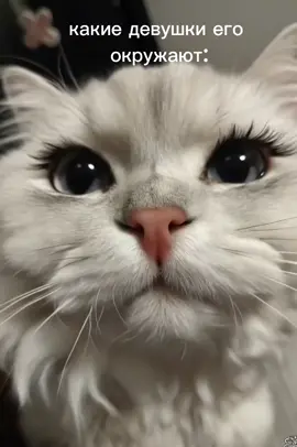 #рекомендации #рекомендации #злая#рекомендации #рекомендации @Verif  ну ты