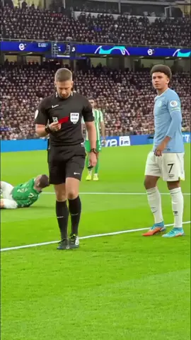 Kitten Snatch Red Card from Referee 😱 #Soccer #Football #FunnyFootball 