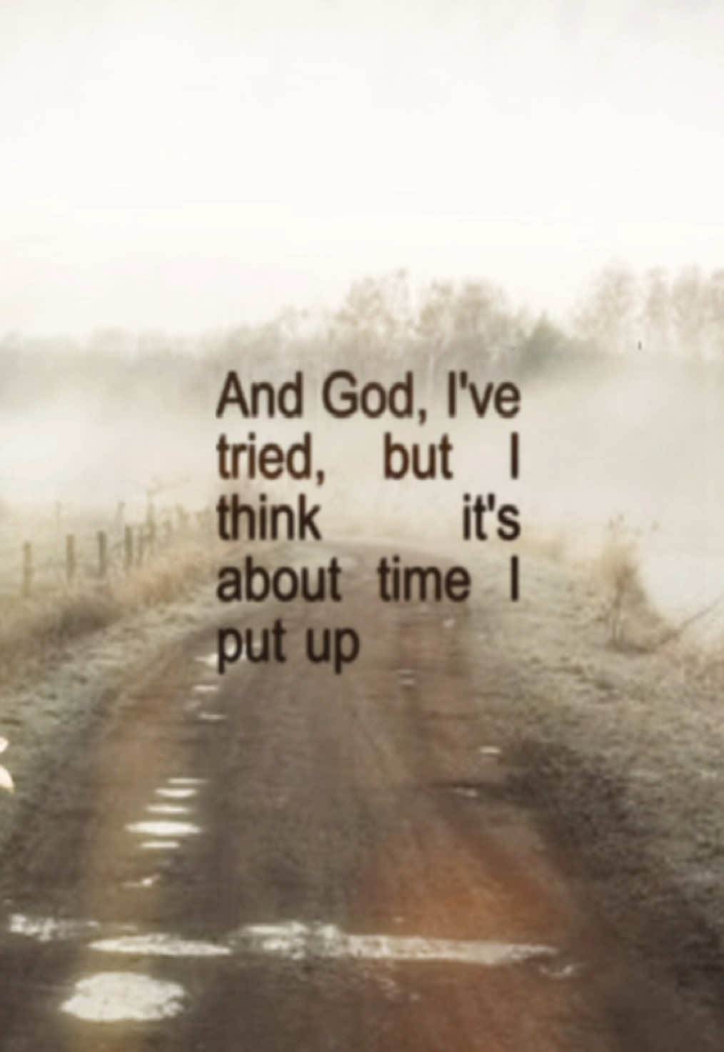 sun bleached flies - Ethel Cain #ethelcain #fyp #willoughbytucker #preachersdaughter #edit 