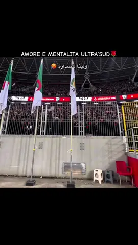 AMORE E MENTALITA ULTRA’SUD  #mouloudia_virage_sud🇮🇹🙏 #مولودية🇧🇬🇧🇬_نعشق_فيهااا💚 #حبوعقلية🌹 #مولوديةالجزائر💚♥️ 