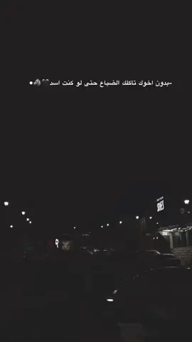 #creatorsearchinsights #مصمم_فيديوهات🎬🎵 #fyp #viral #fypシ゚ 