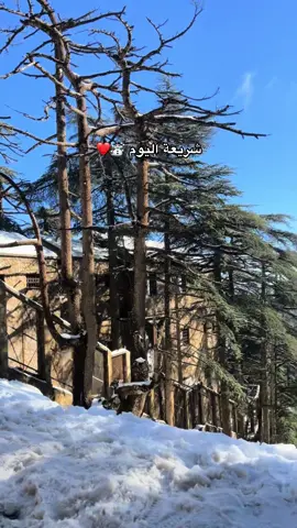 #البليدة #الشريعة #foryoupage❤️❤️ #الشعب_الصيني_ماله_حل😂😂 #pourtoi 