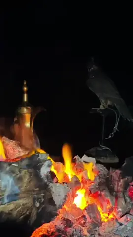 #CapCut والله الفيديو حلو اليش مصعد والله الوه خليجي جان طش#مالي_خلق_احط_هاشتاقات 